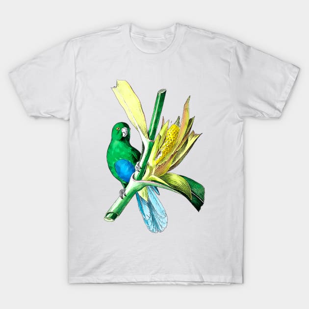 little green parakeet T-Shirt by Marccelus